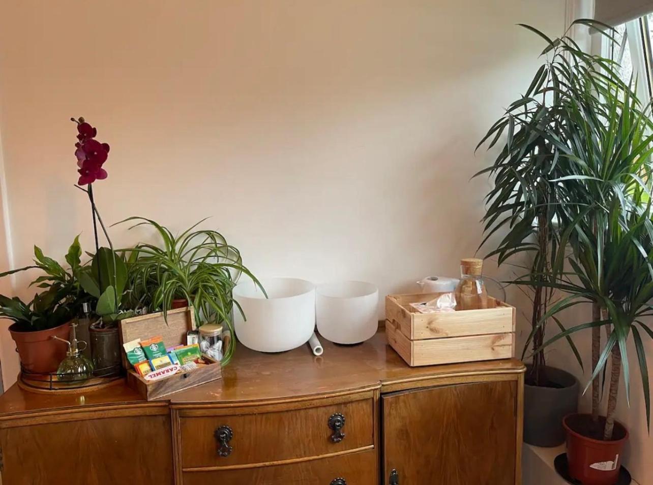 Private Room With Separate Shower And Free Parking Edinburgh Exteriér fotografie